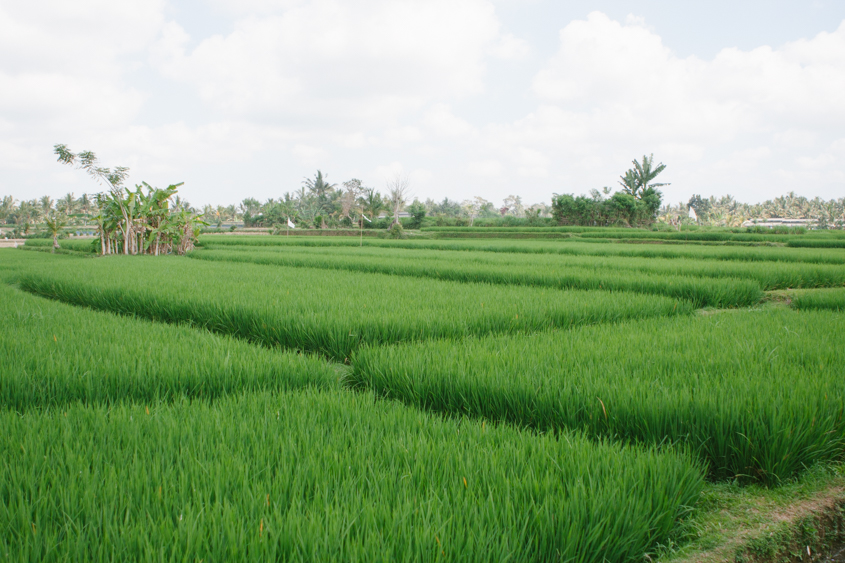 Ubud, Bali