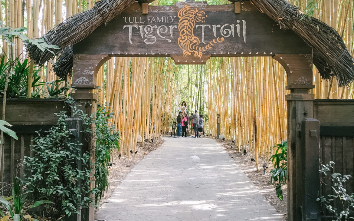 Safari Park Tiger Trail